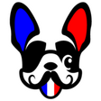 Frenchie Blue